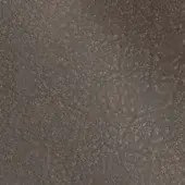 2434836 - TAUPE
